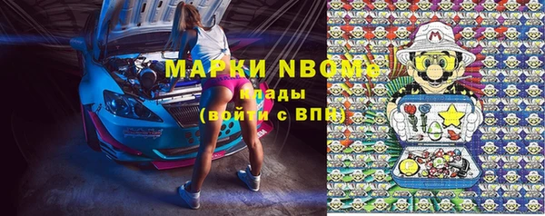 стафф Аркадак