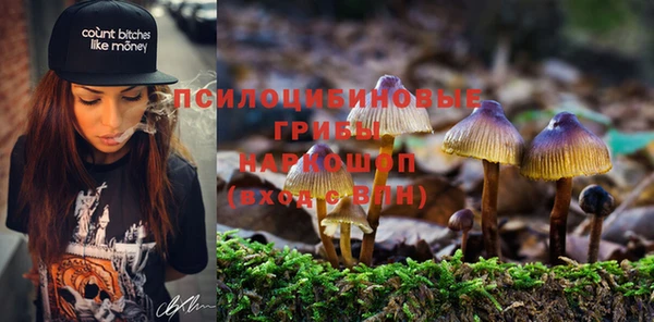 винт Армянск